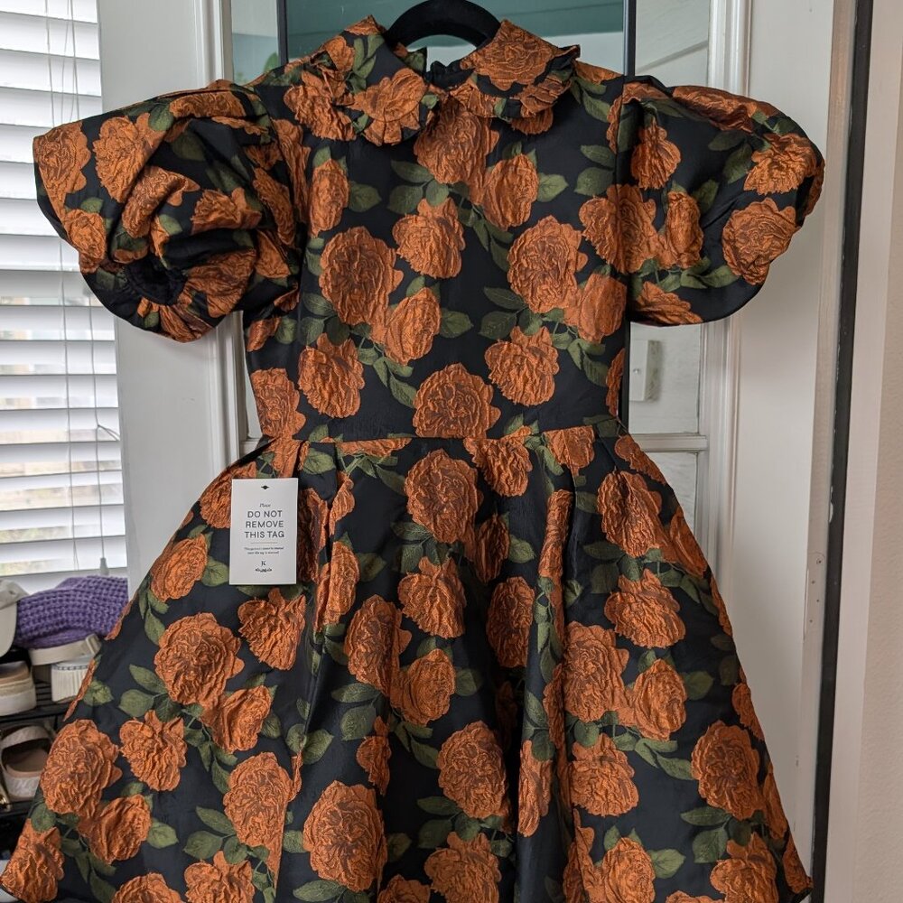 NWT Jessakae Sylvie Dress - L - Copper Roses